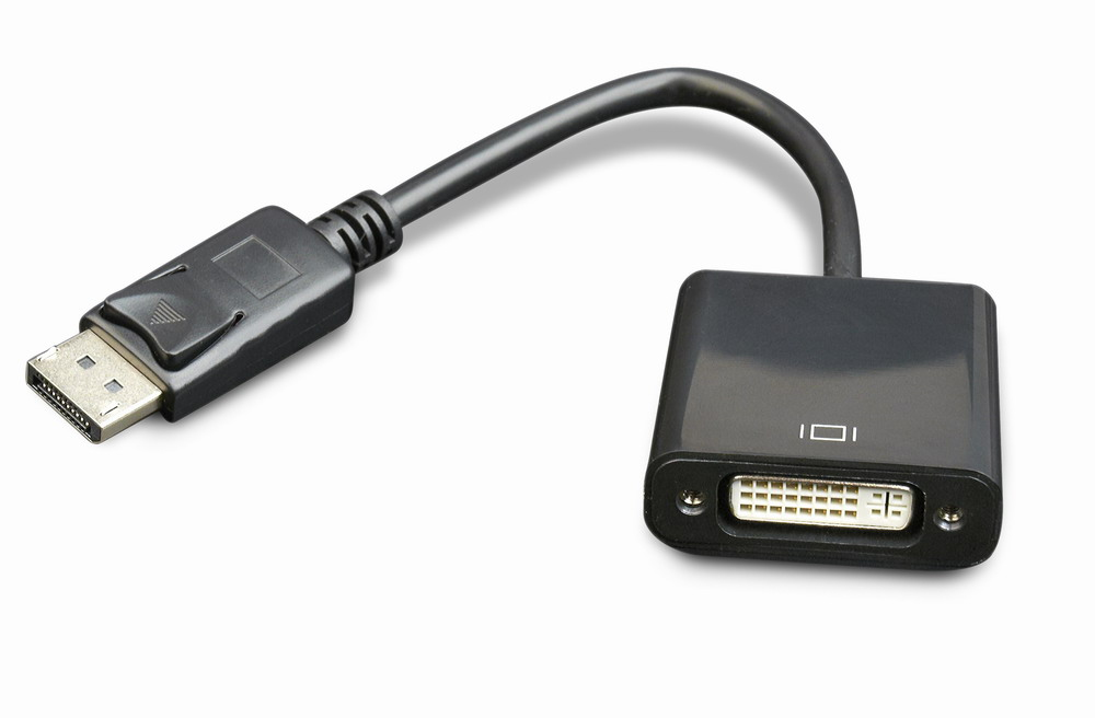 DisplayPort to DVI Adapter Cable - Black