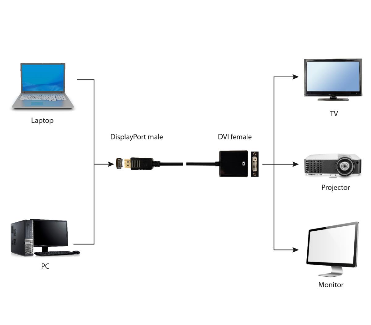 DisplayPort to DVI Adapter Cable - Black