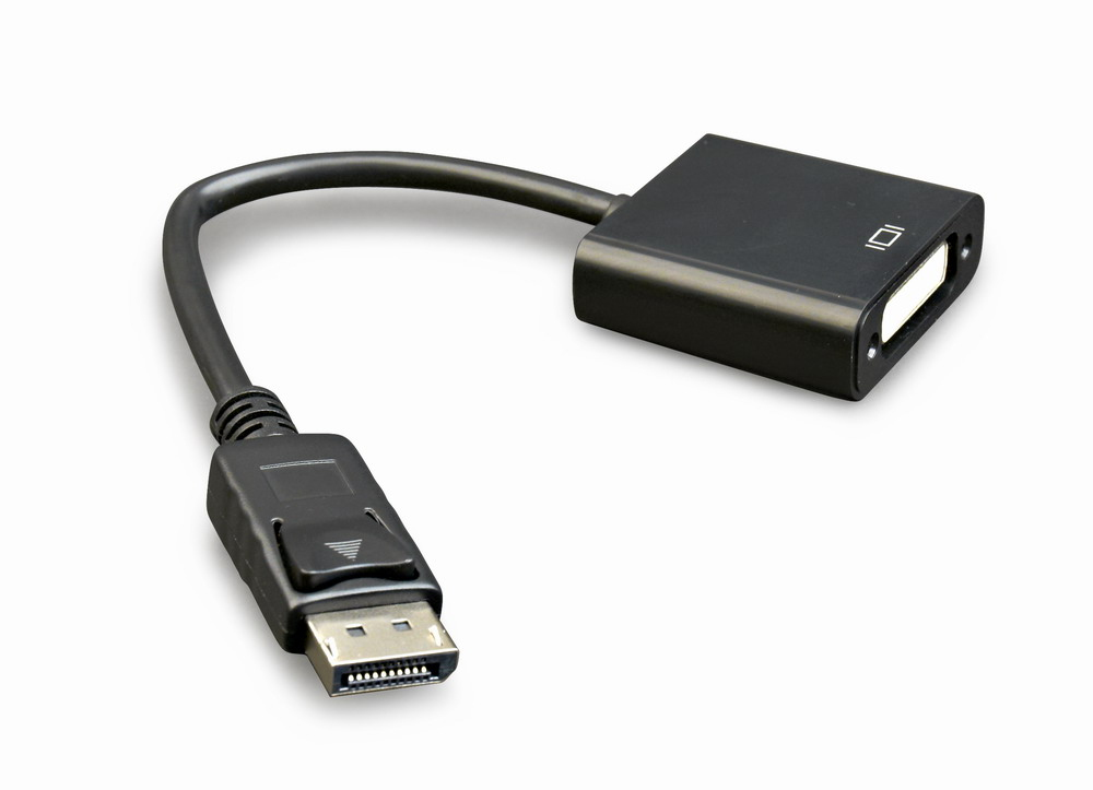 DisplayPort to DVI Adapter Cable - Black