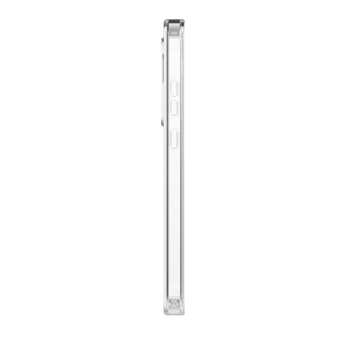Crystal Palace Lite Case Samsung Raccoon