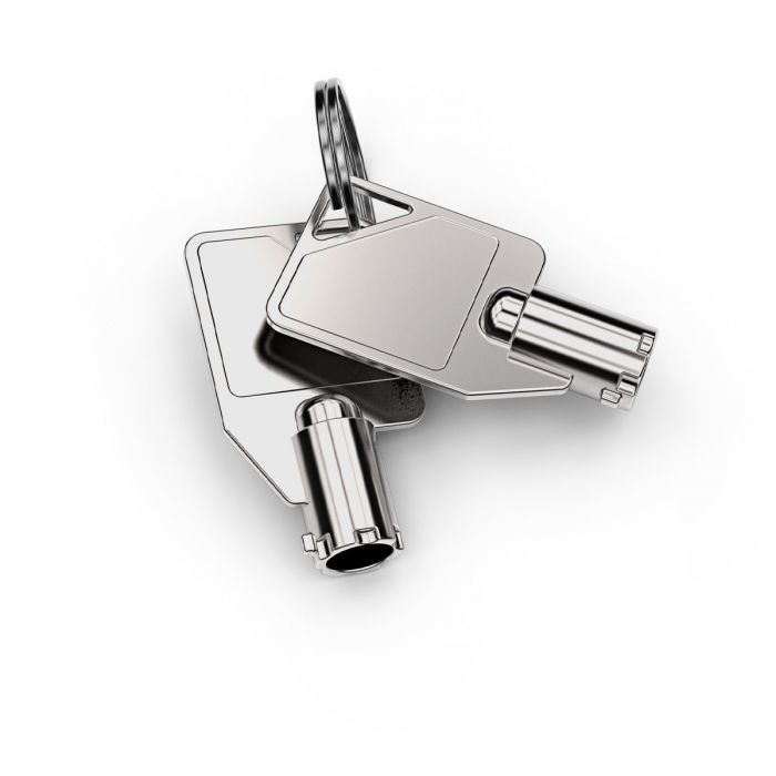 Dual Head Coiled Cable Keyed Lock