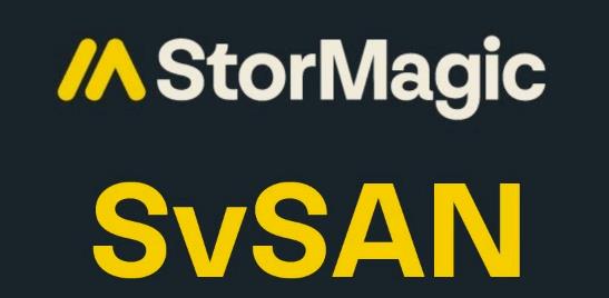 Svsan Single-node 6TB Platinum Maintenance - 3 Year
