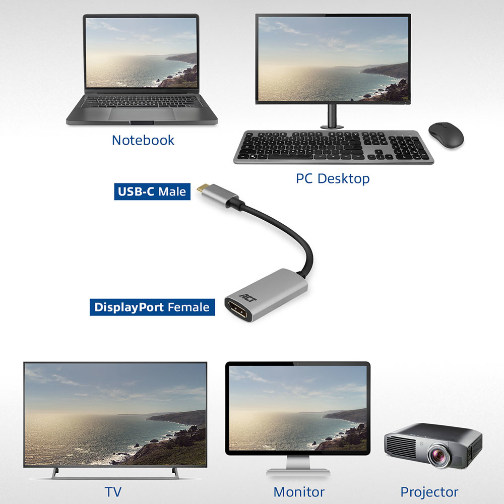 USB-C to DisplayPort female adapter 4K