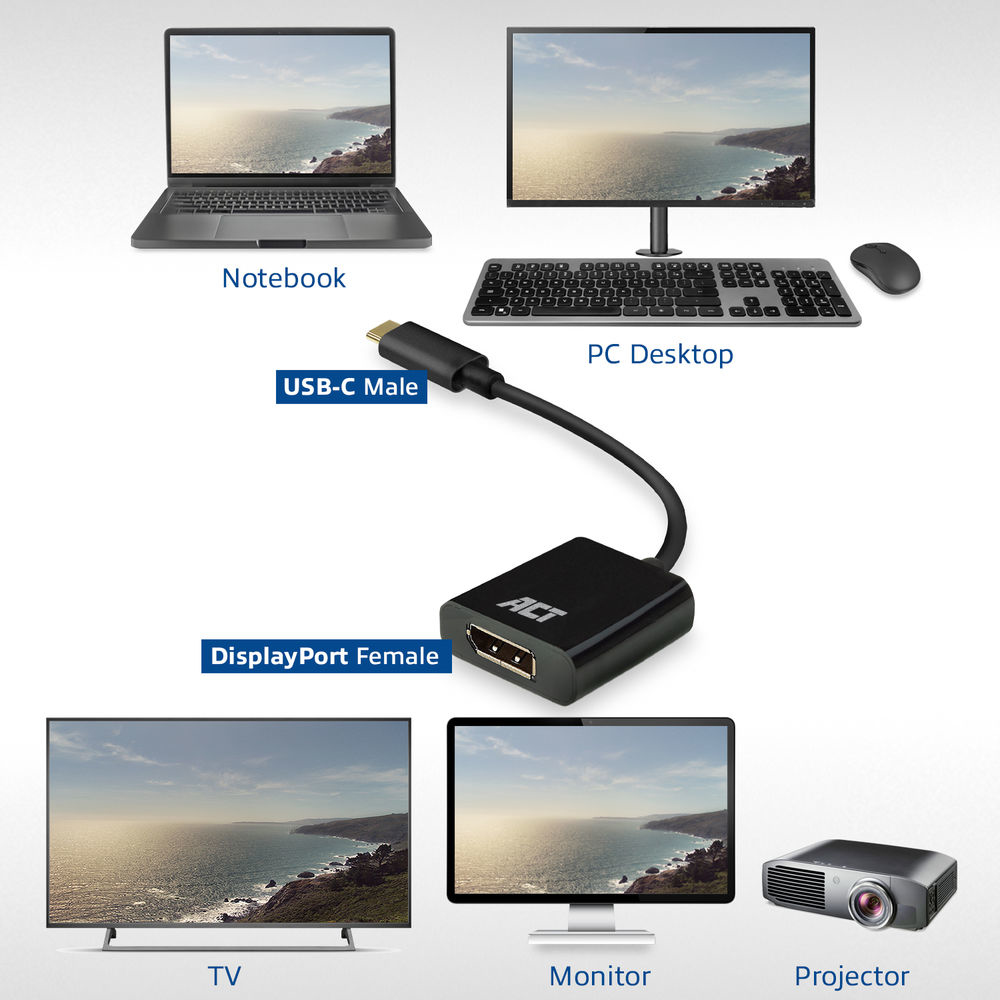 USB-C to DisplayPort Female Adapter 4K
