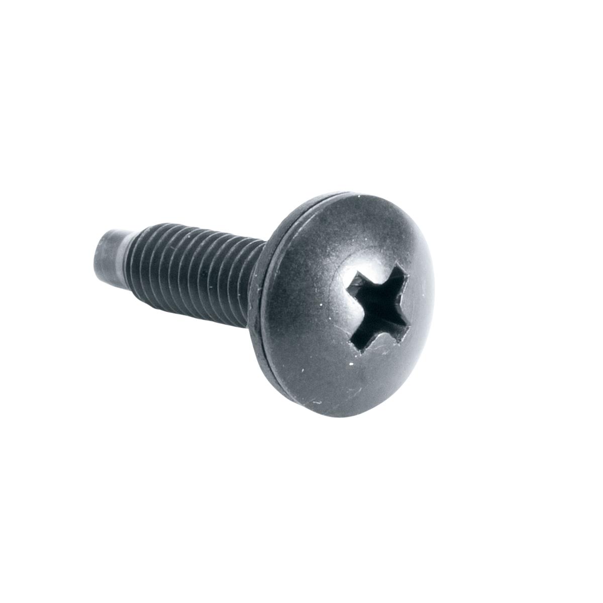 100PC 10-32 RACK SCREWS W