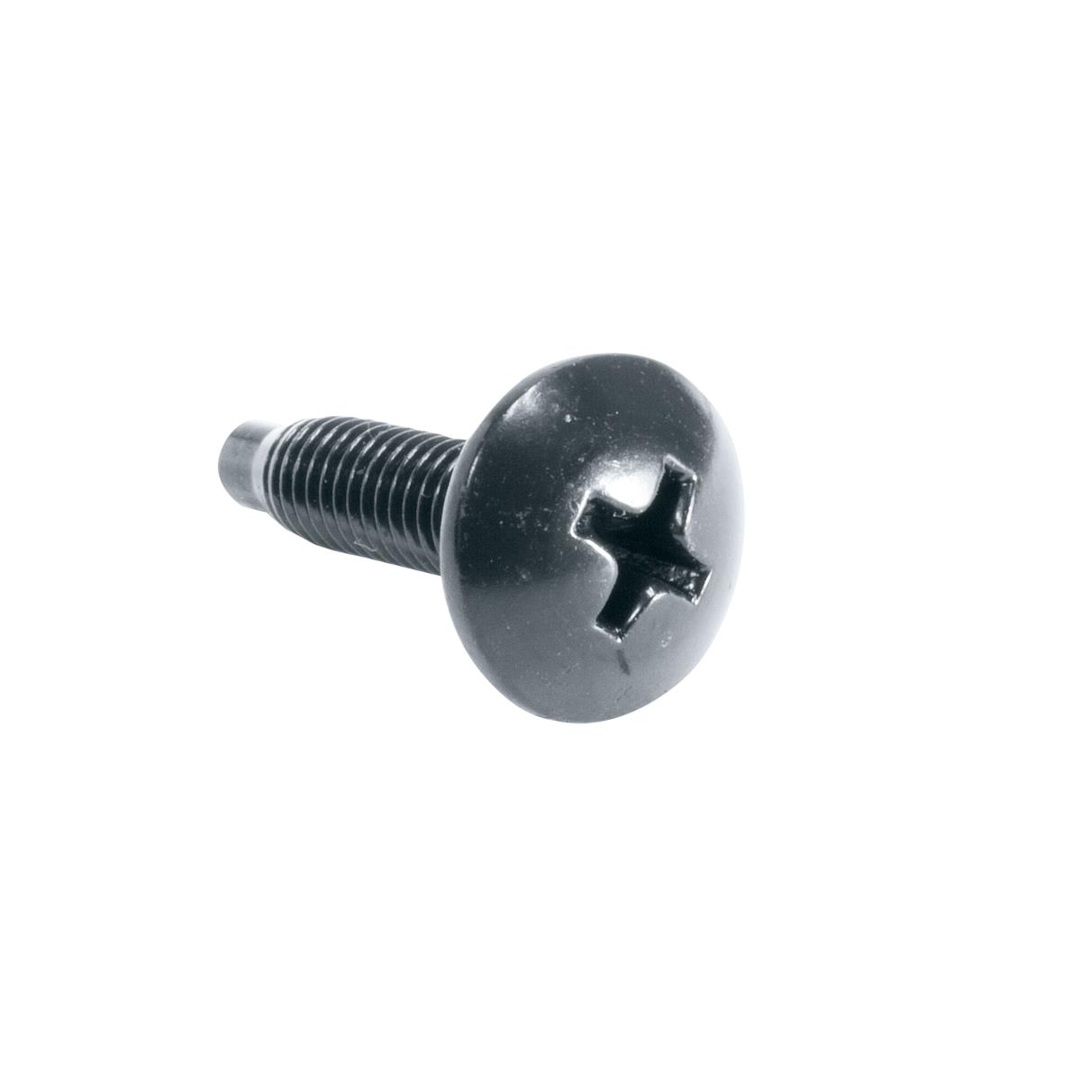 100PC 10-32 RUST RST SCW