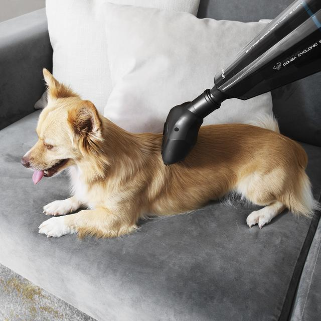 Vacuum Cleaner Conga Immortal Extremesuction 22.2 Animal Hand
