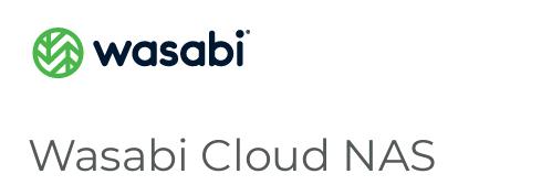 Hybrid File Storage - Wasabi Cloud Nas - 25TB - 1 Years