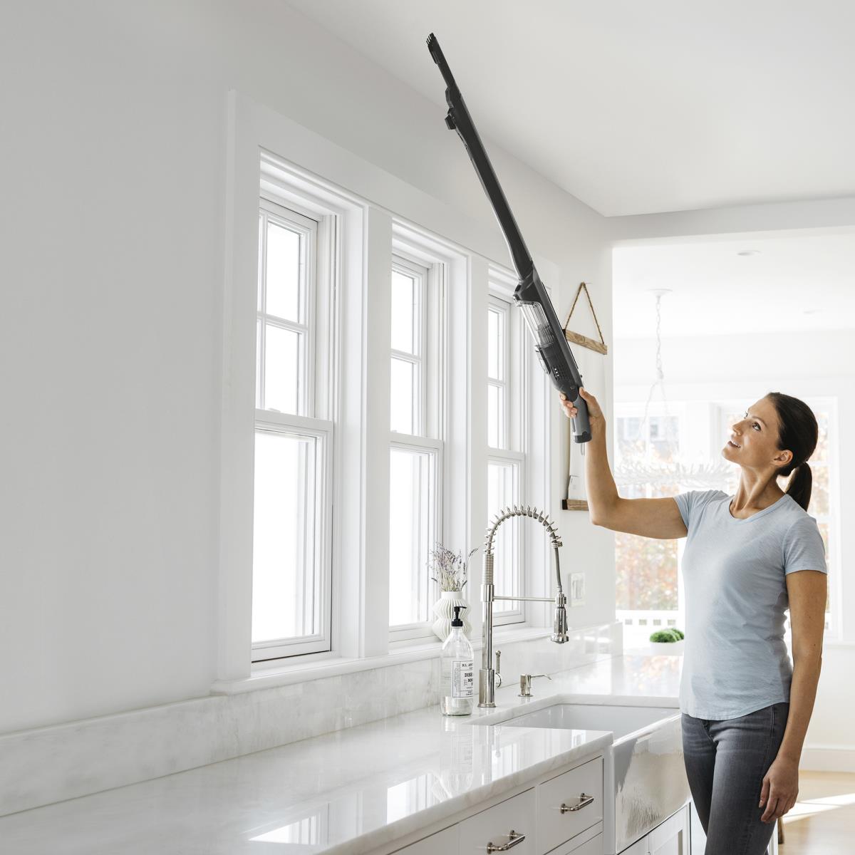 Wv361eu Handheld Vacuum Cleaner 2in1