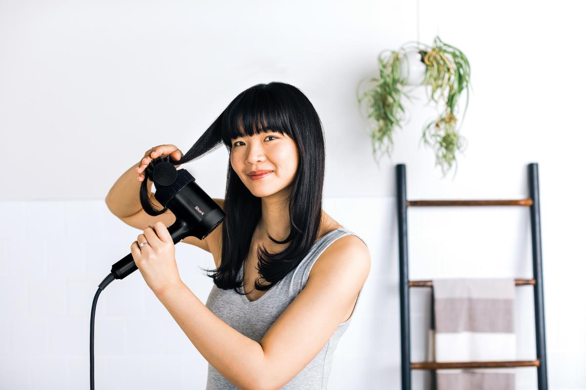 Style Iq Hair Dryer Concentrator Stylebrush & Diffuser
