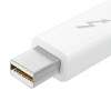 Thunderbolt 20 Pin Male