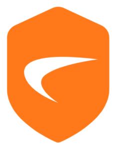 Dns Filtering Service - For  - Nssp 11700 - 2 Years