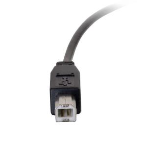 USB 2.0 USB-C to USB-B Cable M/m - Black - 2m