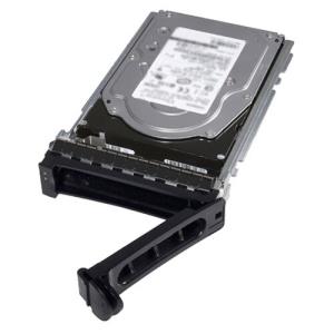 12TB 7k SAS 12gbps 512e 3.5in Hot-plug Hard Drive Cus Kit