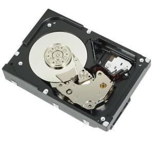 Hard Drive - 12TB - SAS 12Gbps 7200rpm 512e (ISE) 3.5in - Cus Kit