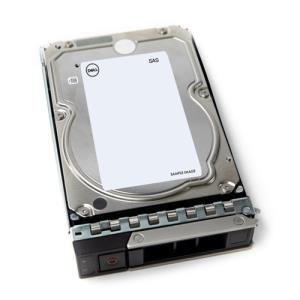 Hard Drive - 4TB - SAS 12Gbps 7200rpm 512n 3.5in - Cus Kit