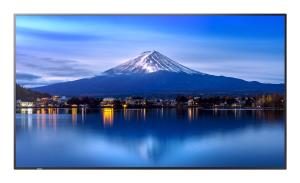 Large Format Display - Multisync P656 - 65in - 3840x2160 (uhd) - Black