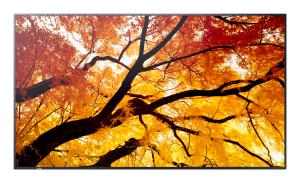 Large Format Display - Multisync M432 - 32in - 3840x2160 (uhd)