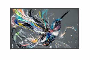 Signage Solutions - 50bdl3650qe - 50in - Q-line-display