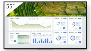 Smart Tv 55in Bravia Pro Fw-55bz30l LCD Professional Display 4k Hdr  Frame DIMMing With Airplay And Chromecast