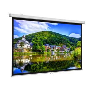 Proscreen Csr 139x240cm Matte White                                                                 