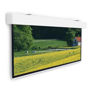Projection Screen - Elpro Large Electrol 255x400                                                    