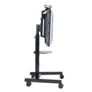 Silver Flat Panel Single Display Cart (pfcus)                                                       