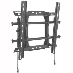 Medium Fusion Portrait Tilt Wall Mount                                                              