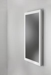 Protective Glass Wall Kiosk 55in Class