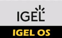Igel Standard Priority - Upgrade License
