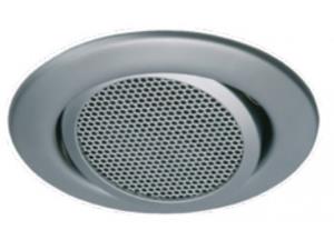 Speakermount Loudspeaker With Installation Frame 20 Tilt Angle Matt Chrome                          