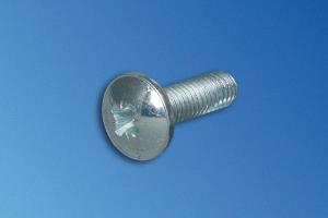 Screw Oh Phl M5x10mm Form Z                                                                         