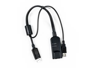 Server Interface Module for DisplayPort                                                             