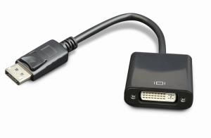DisplayPort to DVI Adapter Cable - Black