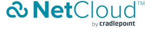 3-yr Netcloud Ess For Branch Eu Perf Routers/support Cr4250