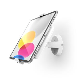 Bundle / VESA Tilting Wall Mount + Universal Tablet Wall Mount - Cling VESA - White