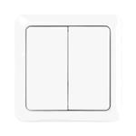 Wireless Double Wall Switch Awst-8802