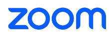 Zoom One - Biz - 2 Year Prepay (PAR6BIZBASENH2Y)